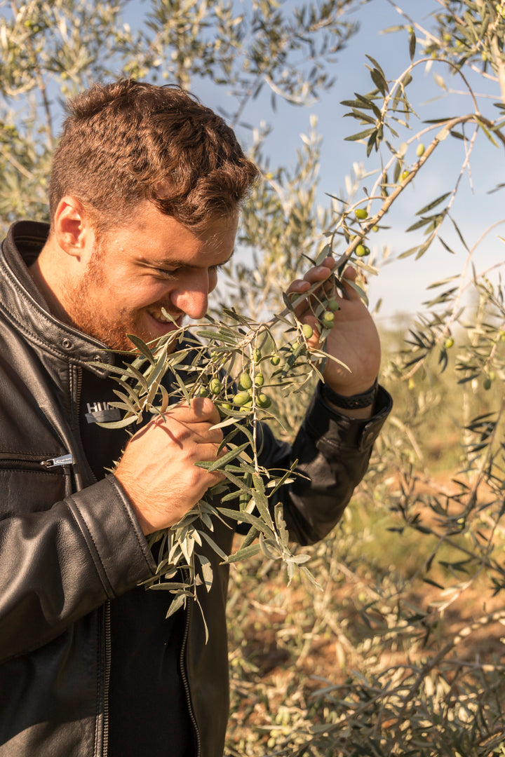 Un ragazzo controlla lo stato di salute di una pianta d'ulivo